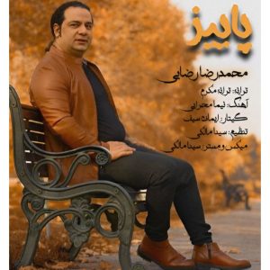 دانلود آهنگ جدید محمدرضا رضایی با عنوان پاییز